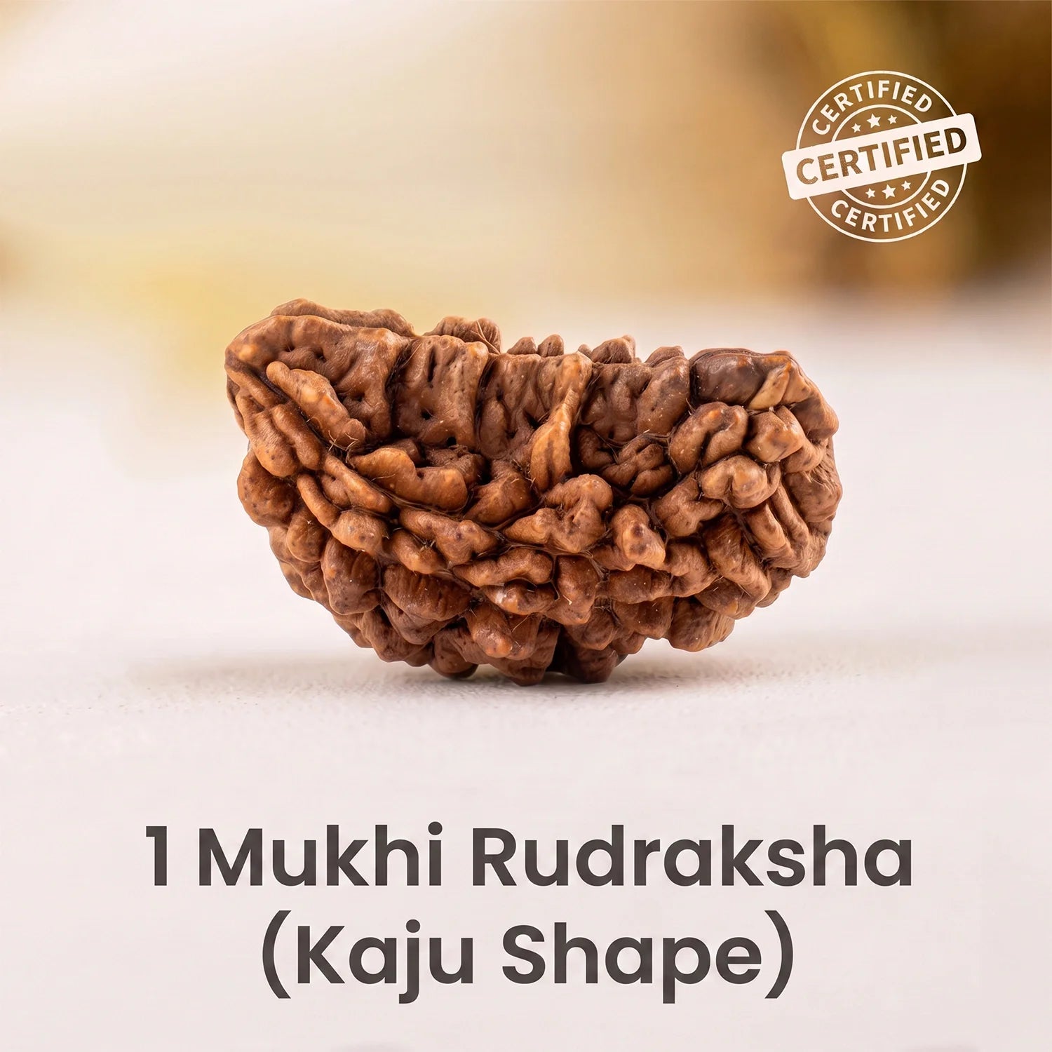 1 Mukhi Rudraksha Moon (Kaju) Shape – Indian Origin