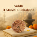 Kashi Siddh Nepal Origin 11 Mukhi Rudraksha - 17mm to 22mm