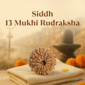 Kashi Siddh Nepal Origin 13 Mukhi Rudraksha - 17mm to 22mm