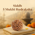Kashi Siddh Nepal Origin 5 Mukhi Rudraksha - 17mm to 22mm