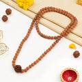 6 Mukhi Rudraksha Bead in 5 Mukhi Rudraksha Mala