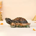 Collector's Edition Vastu Dhan Yog Tortoise (Big size)