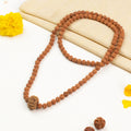 10 Mukhi Rudraksha Bead in 5 Mukhi Rudraksha Mala