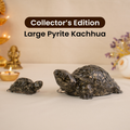 Collector's Edition Pyrite Tortoise (Kachhua) - Big Size - 8x heavier